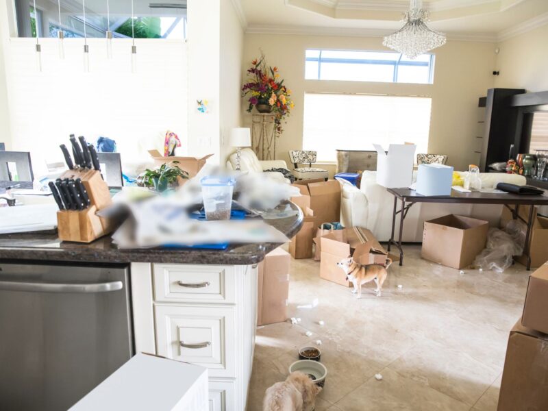 Move In Move Out